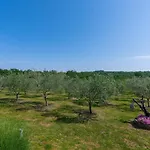 In Croatia Near The Adriatic Coast Villa *